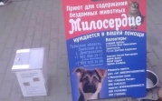 В России введут штрафы для нелегальных сборщиков пожертвований
