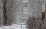 Погода в Туле 14 января: метель и оттепель