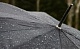 Погода в Туле 24 апреля: до +16 градусов и умеренный дождь