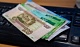 В России утвердили эскиз новой 100-рублевой купюры