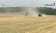 Тульский фермер чуть не нарушил регламент «О безопасности зерна»