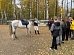 В Новомосковске волонтеры взяли на попечение лошадь