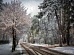В Тульской области ожидается мокрый снег и ветер до 10 м/с