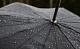 Погода в Туле 11 июня: дождь с грозой и до +28 градусов